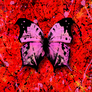 日本免费色情视频
